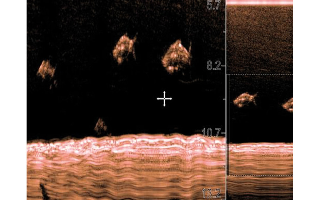 Seria Axiom - CHIRP sonar